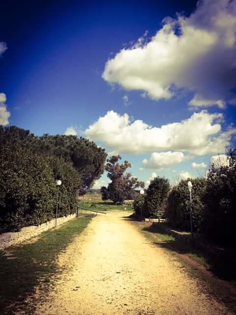Agriturismo Beethoven 诺西 外观 照片